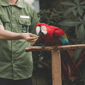 programme-formation-securite-zoo-direction-encadrement