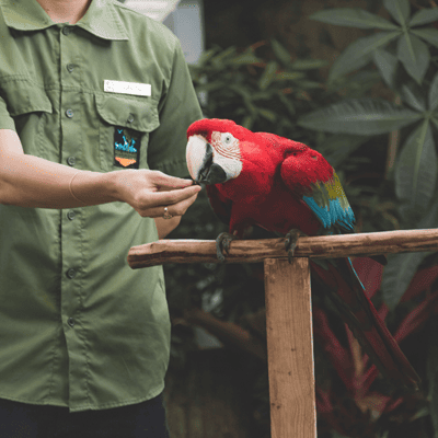 programme-formation-securite-zoo-direction-encadrement