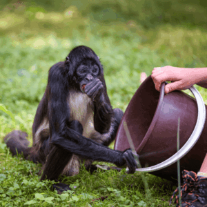 programme-formation-securite-zoo-soigneur-niveau-1